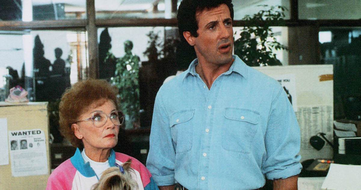 "Stój, bo mamuśka strzela" (1992)